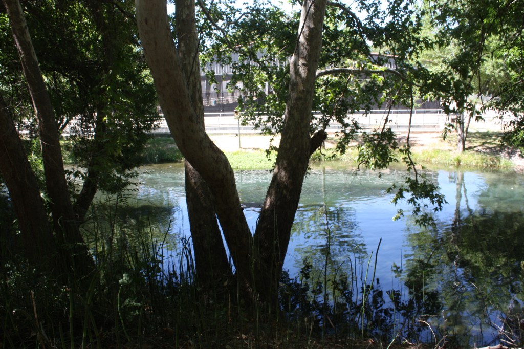 Page Springs Hatchery, June 23&nbsp;2026